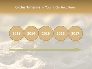 Beach Portrait Sunrise PowerPoint Template