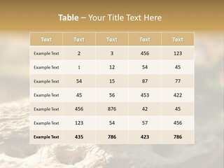 Beach Portrait Sunrise PowerPoint Template