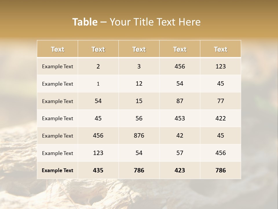 Beach Portrait Sunrise PowerPoint Template