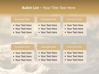 Beach Portrait Sunrise PowerPoint Template