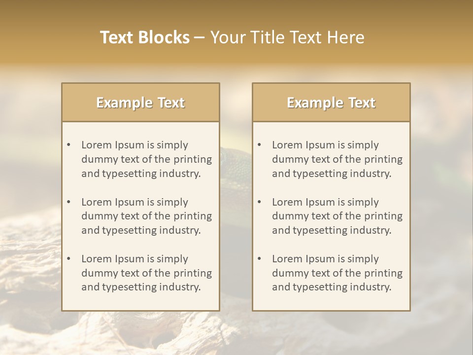 Beach Portrait Sunrise PowerPoint Template