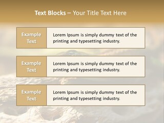 Beach Portrait Sunrise PowerPoint Template