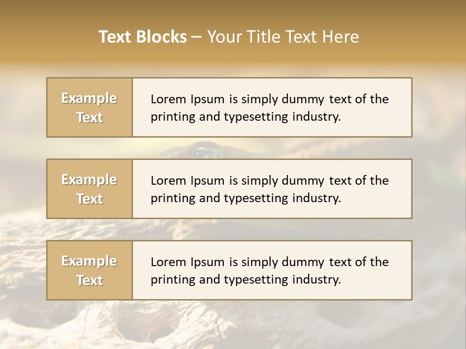 Beach Portrait Sunrise PowerPoint Template