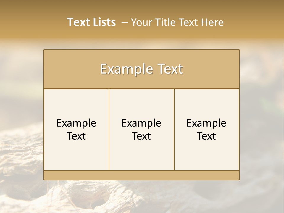 Beach Portrait Sunrise PowerPoint Template