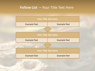 Beach Portrait Sunrise PowerPoint Template