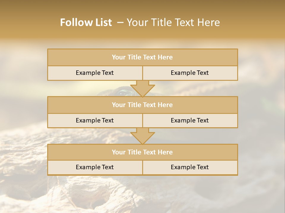 Beach Portrait Sunrise PowerPoint Template