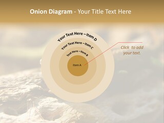 Beach Portrait Sunrise PowerPoint Template