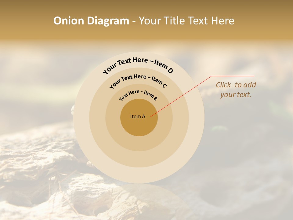 Beach Portrait Sunrise PowerPoint Template