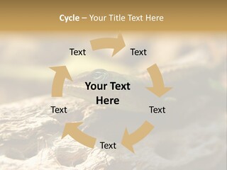 Beach Portrait Sunrise PowerPoint Template