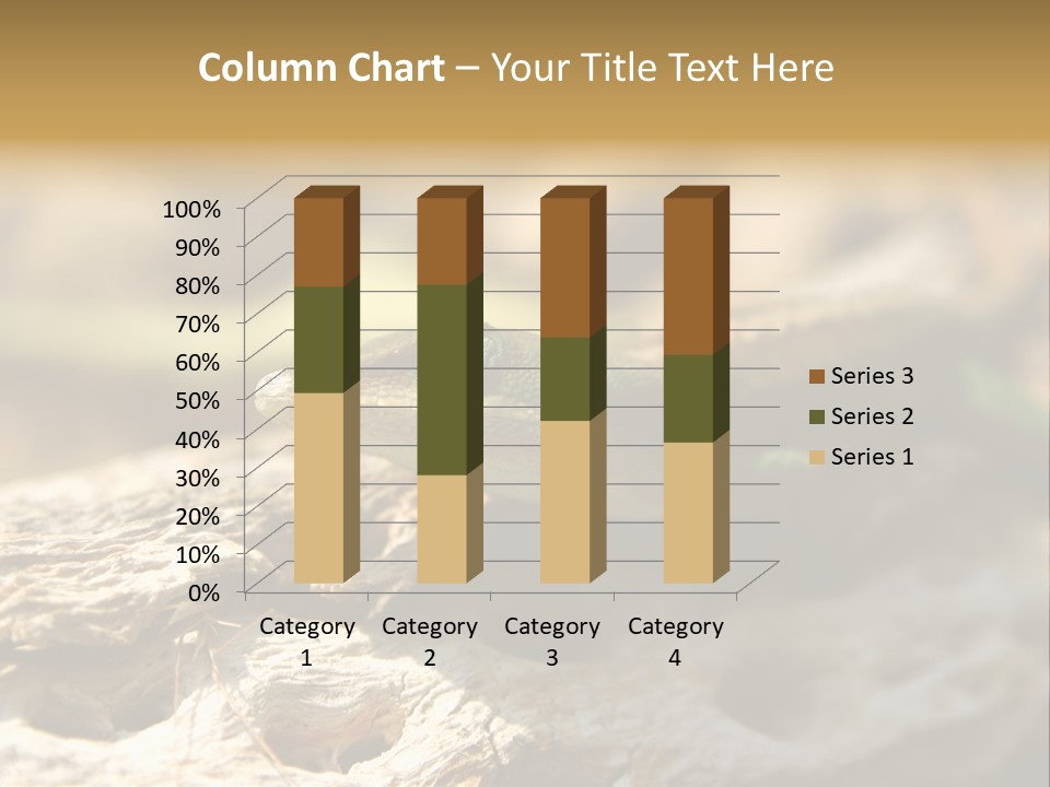 Beach Portrait Sunrise PowerPoint Template