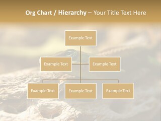 Beach Portrait Sunrise PowerPoint Template