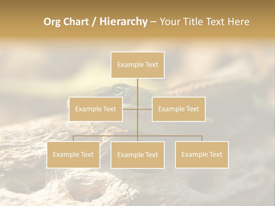 Beach Portrait Sunrise PowerPoint Template