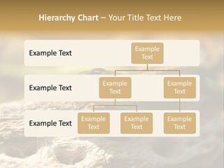 Beach Portrait Sunrise PowerPoint Template