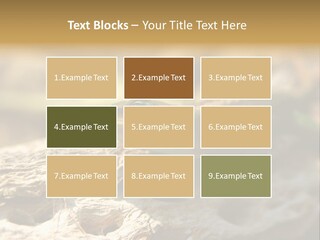 Beach Portrait Sunrise PowerPoint Template