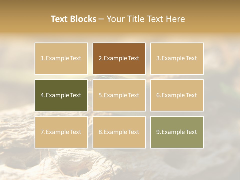 Beach Portrait Sunrise PowerPoint Template