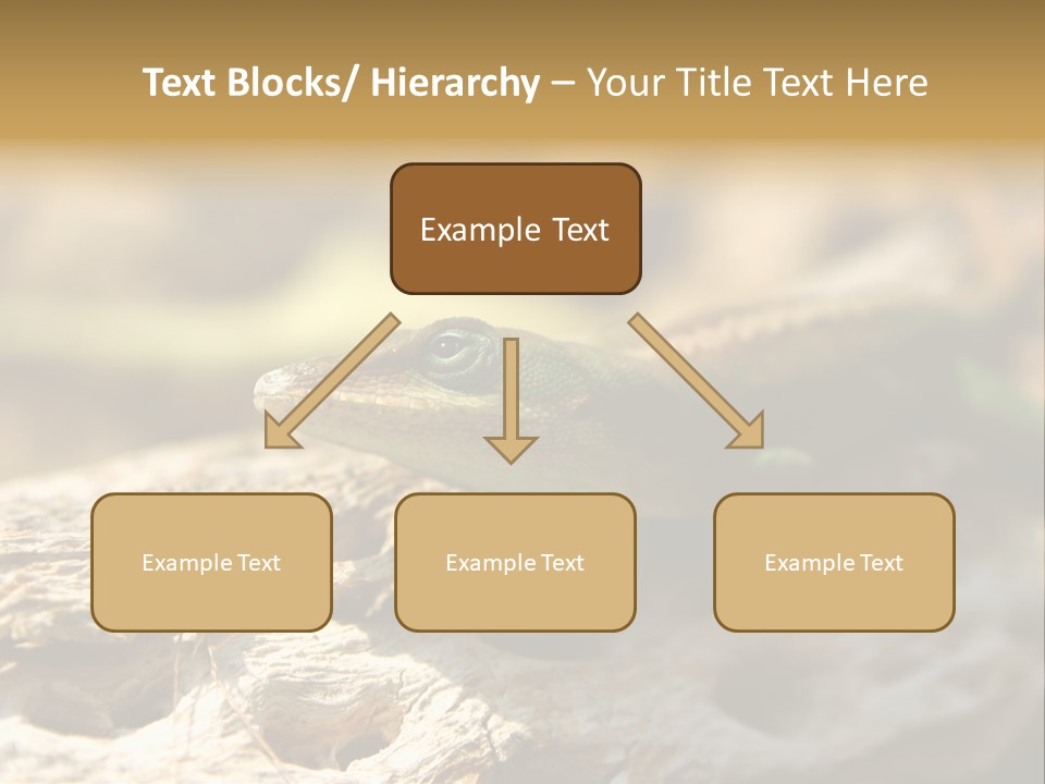 Beach Portrait Sunrise PowerPoint Template