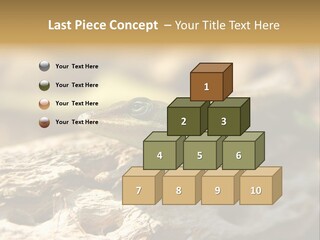 Beach Portrait Sunrise PowerPoint Template