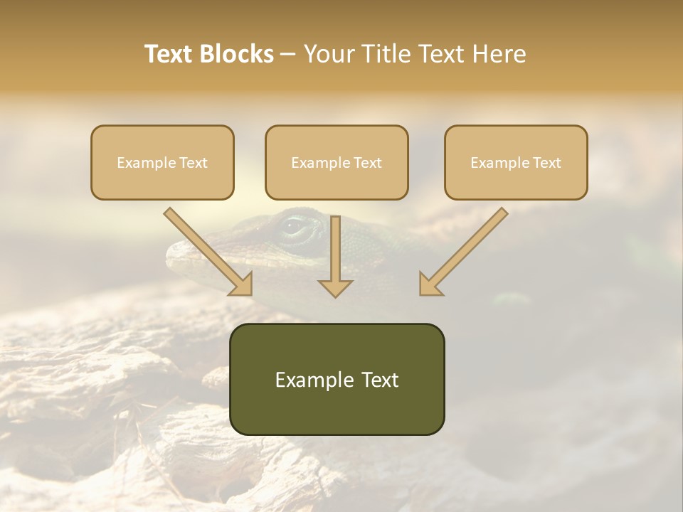 Beach Portrait Sunrise PowerPoint Template