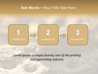 Beach Portrait Sunrise PowerPoint Template