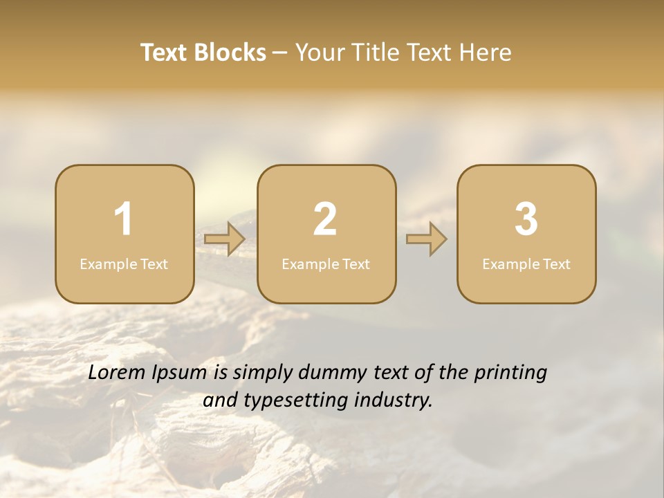 Beach Portrait Sunrise PowerPoint Template