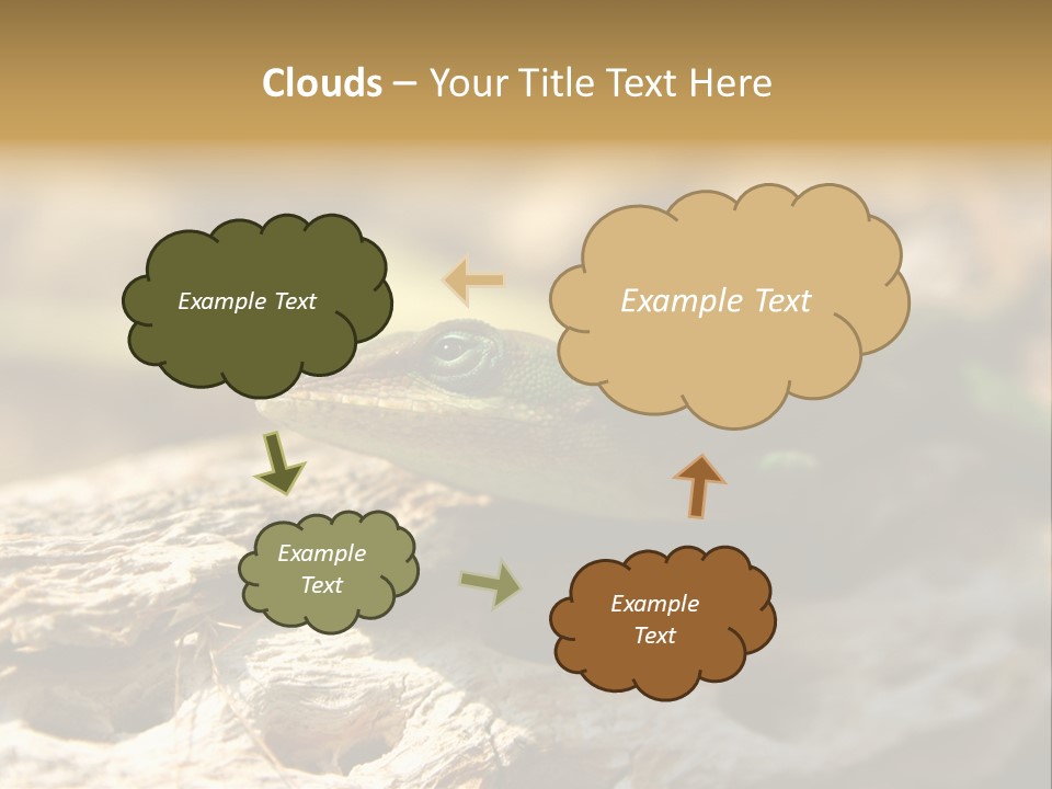 Beach Portrait Sunrise PowerPoint Template