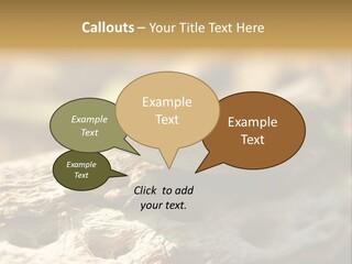 Beach Portrait Sunrise PowerPoint Template