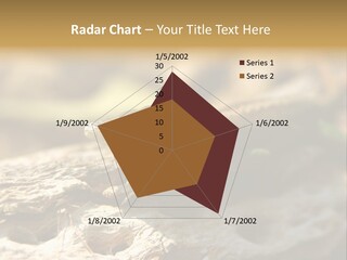 Beach Portrait Sunrise PowerPoint Template