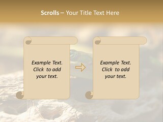 Beach Portrait Sunrise PowerPoint Template