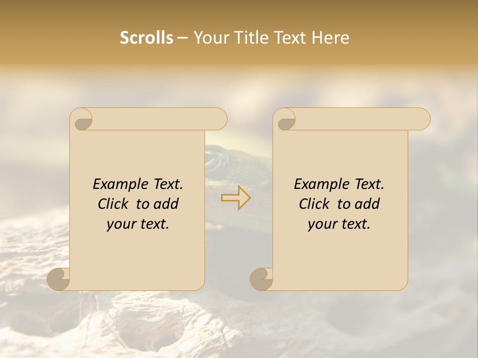 Beach Portrait Sunrise PowerPoint Template
