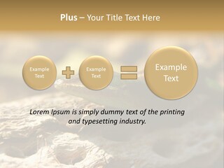 Beach Portrait Sunrise PowerPoint Template