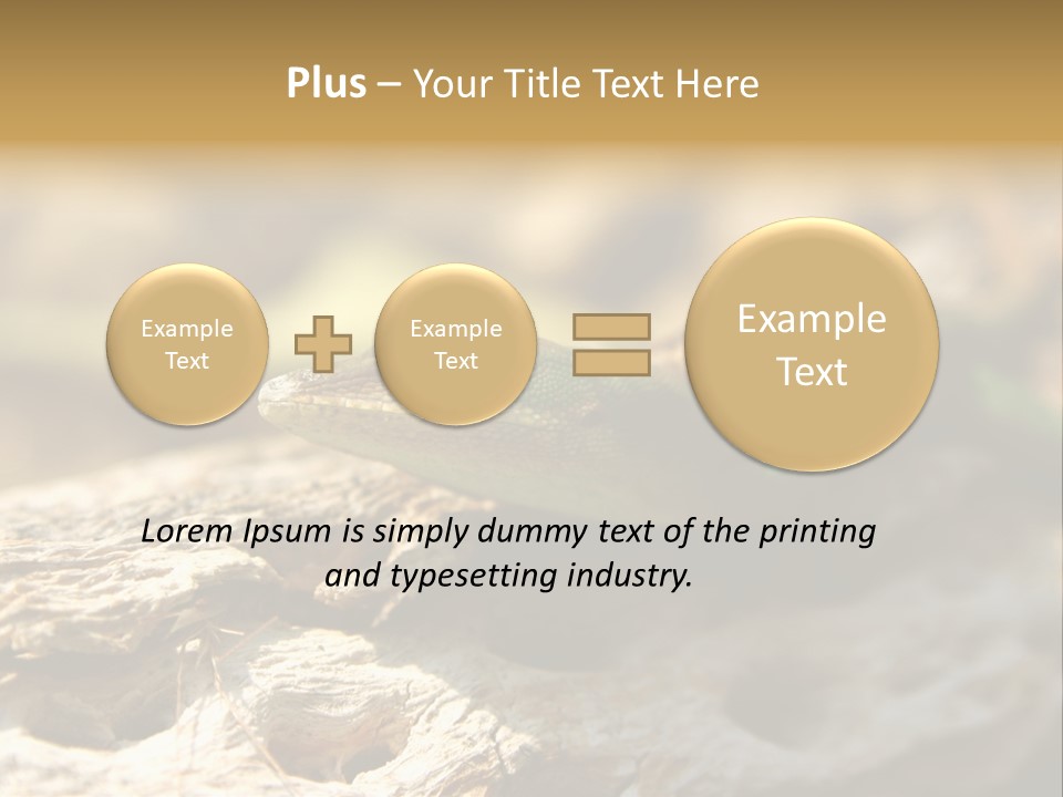 Beach Portrait Sunrise PowerPoint Template
