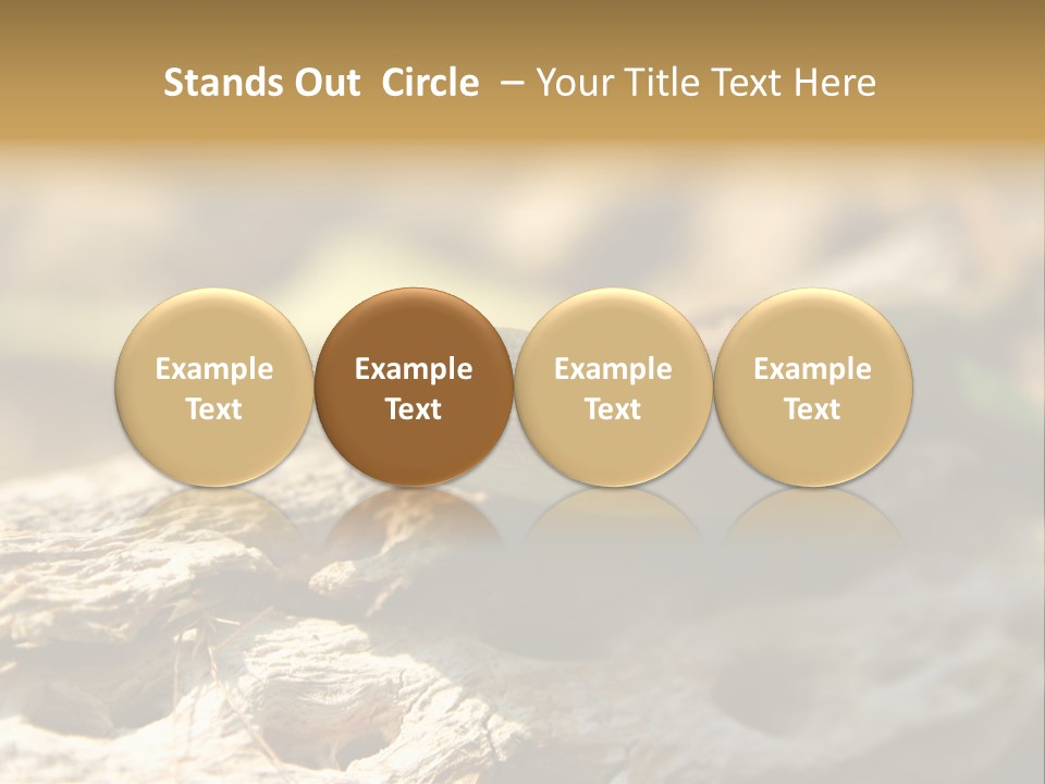 Beach Portrait Sunrise PowerPoint Template