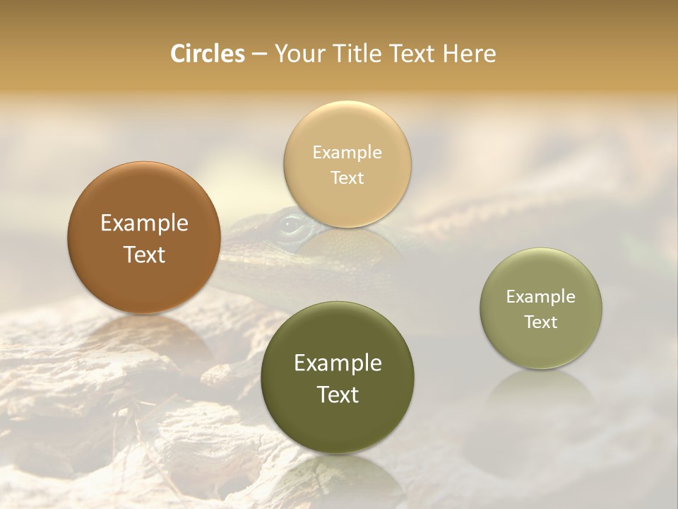 Beach Portrait Sunrise PowerPoint Template