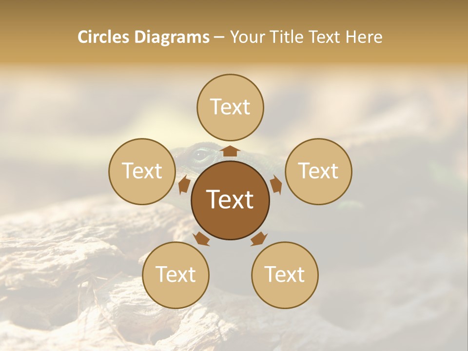 Beach Portrait Sunrise PowerPoint Template