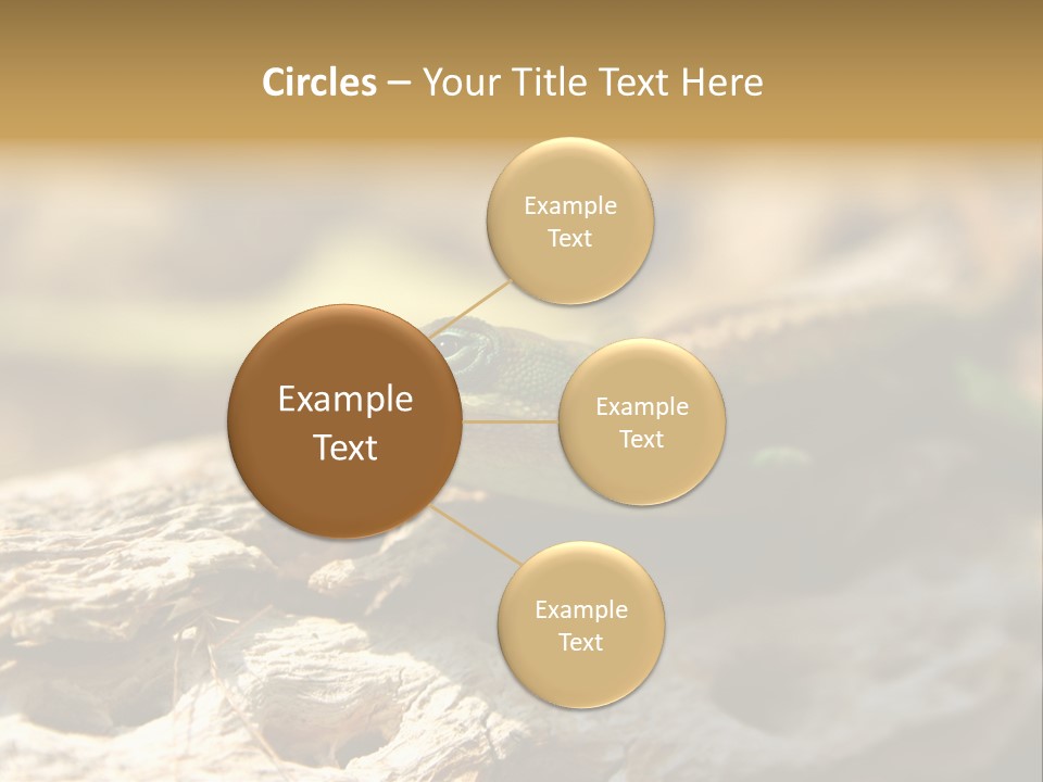 Beach Portrait Sunrise PowerPoint Template