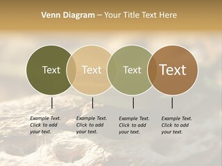 Beach Portrait Sunrise PowerPoint Template