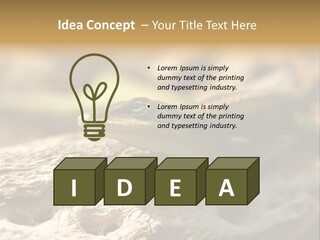 Beach Portrait Sunrise PowerPoint Template