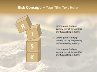 Beach Portrait Sunrise PowerPoint Template