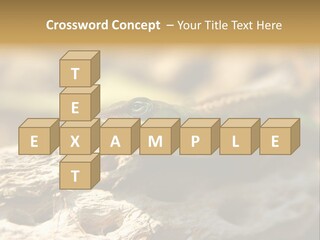 Beach Portrait Sunrise PowerPoint Template