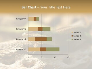 Beach Portrait Sunrise PowerPoint Template