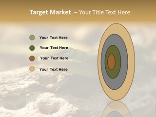 Beach Portrait Sunrise PowerPoint Template