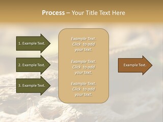 Beach Portrait Sunrise PowerPoint Template