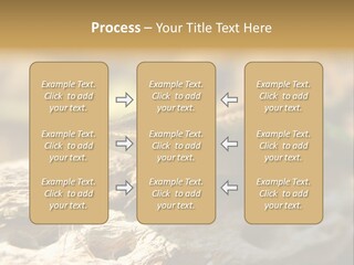 Beach Portrait Sunrise PowerPoint Template