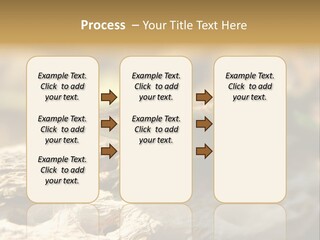 Beach Portrait Sunrise PowerPoint Template