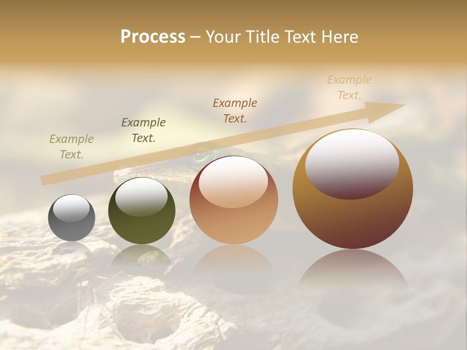 Beach Portrait Sunrise PowerPoint Template