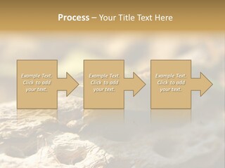 Beach Portrait Sunrise PowerPoint Template