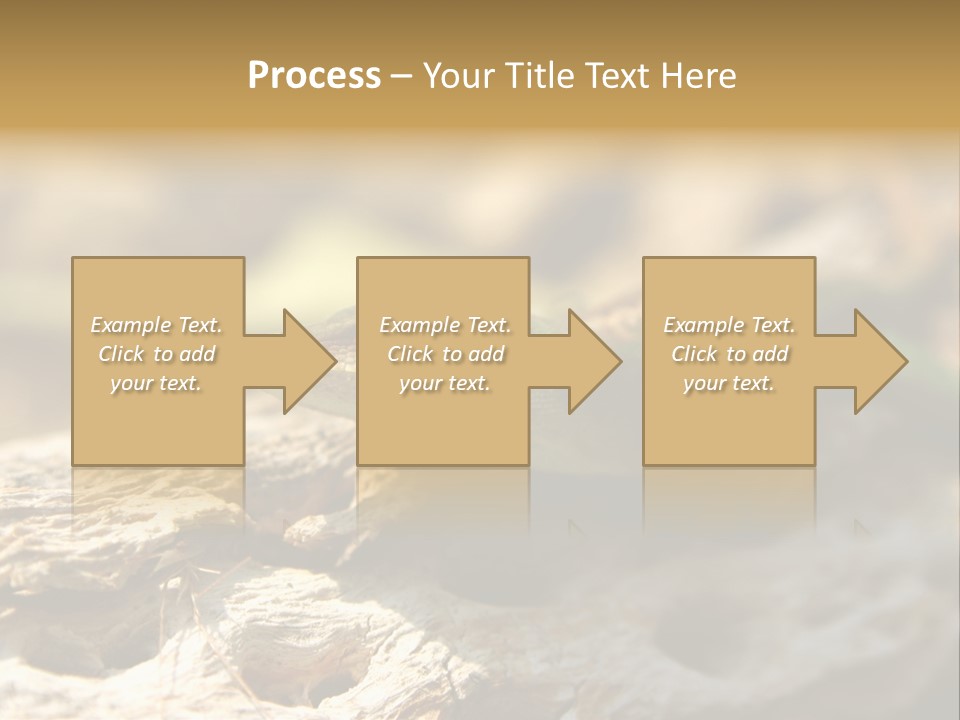 Beach Portrait Sunrise PowerPoint Template