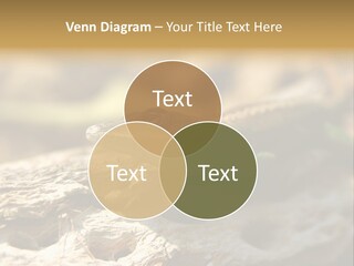 Beach Portrait Sunrise PowerPoint Template