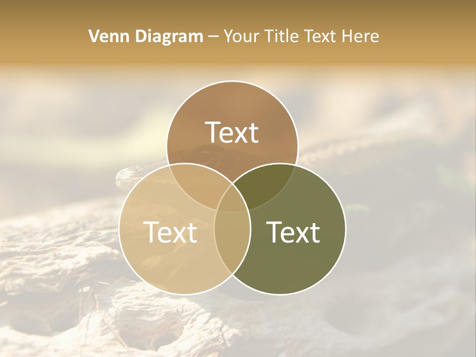 Beach Portrait Sunrise PowerPoint Template