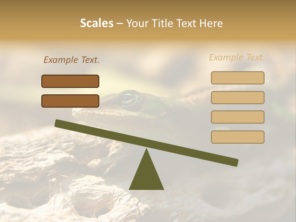 Beach Portrait Sunrise PowerPoint Template